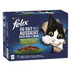 Bild: Felix Gemischte Vielfalt mit Gemüse in Gelee
